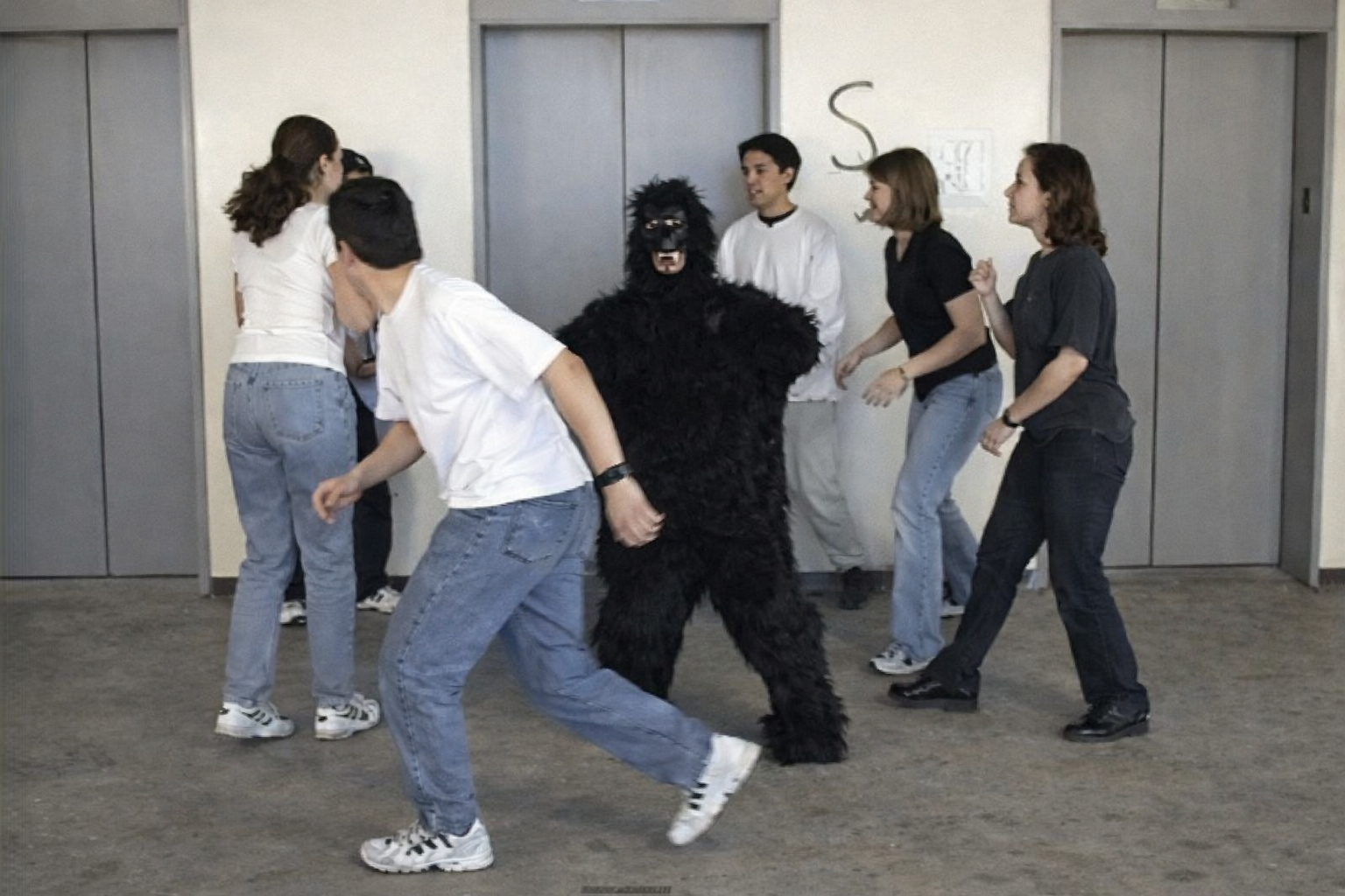 A gorilla crossing a scene during a visual attention test.